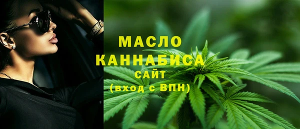 ECSTASY Вяземский